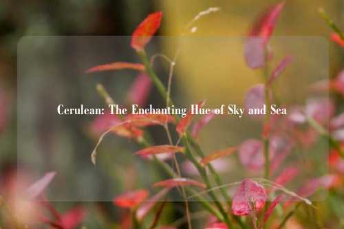 Cerulean: The Enchanting Hue of Sky and Sea