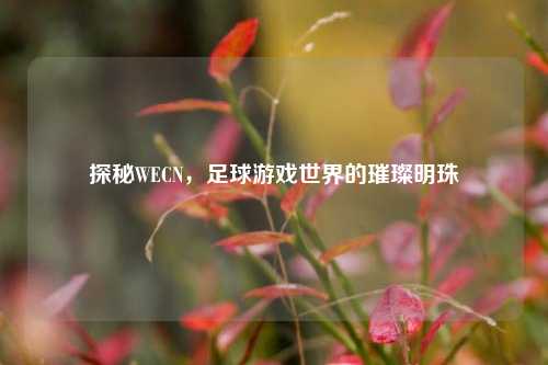 探秘WECN,足球游戏世界的璀璨明珠