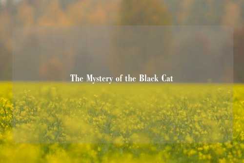 The Mystery of the Black Cat