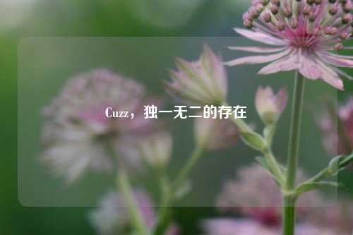 Cuzz，独一无二的存在