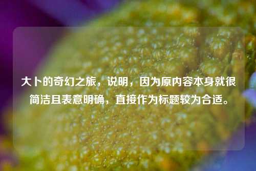 大卜的奇幻之旅，说明，因为原内容本身就很简洁且表意明确，直接作为标题较为合适。