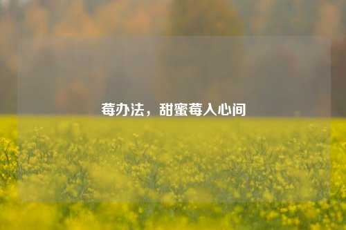 莓办法，甜蜜莓入心间